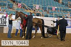 13yn_10443 proof
