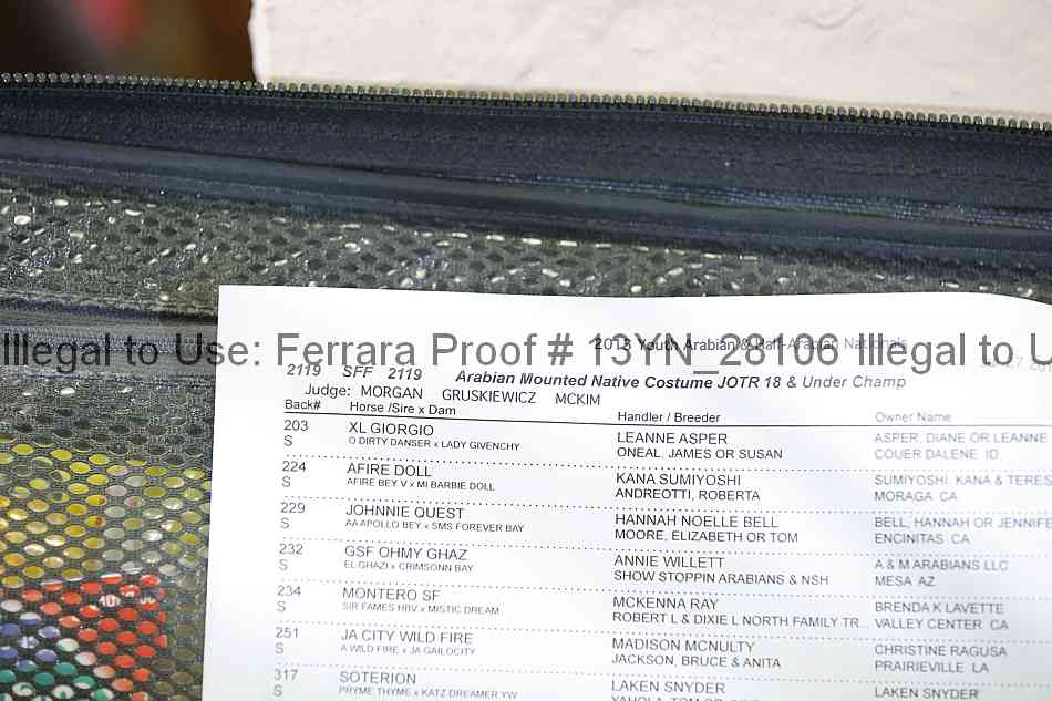 Proof 13yn_28106
