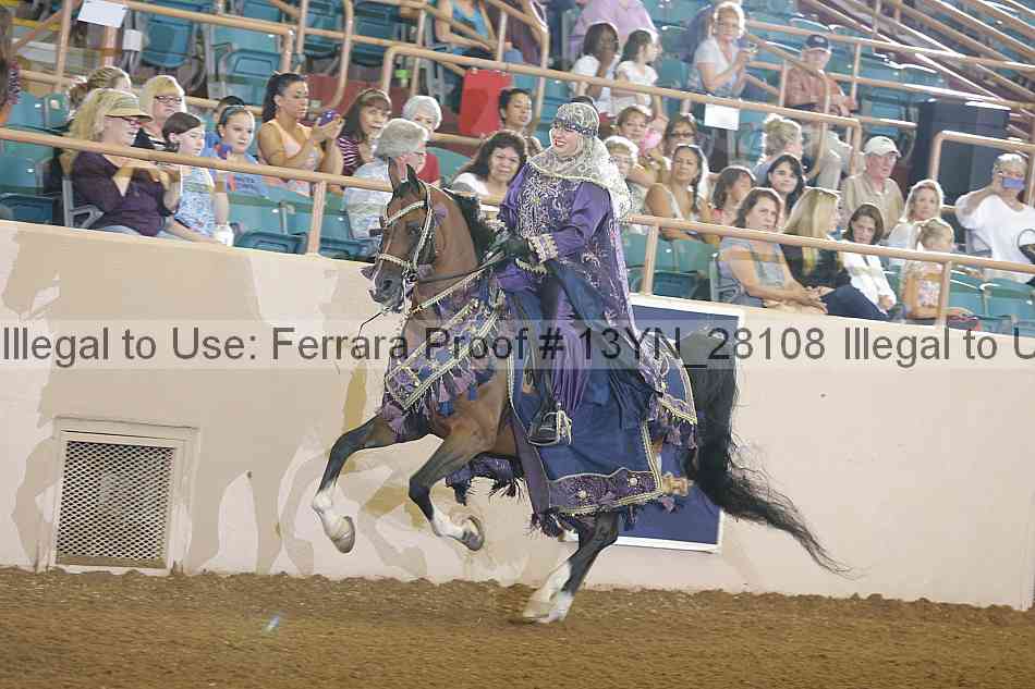 Proof 13yn_28108
