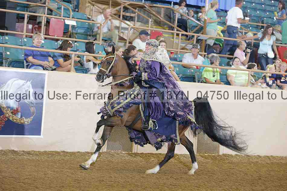 Proof 13yn_04750