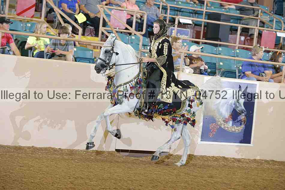 Proof 13yn_04752