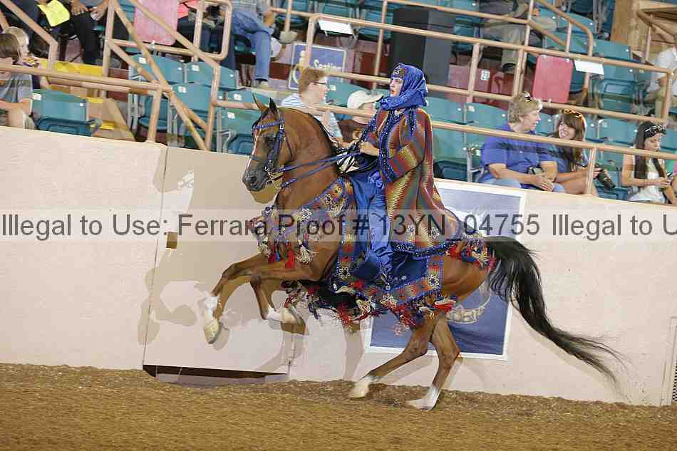 Proof 13yn_04755