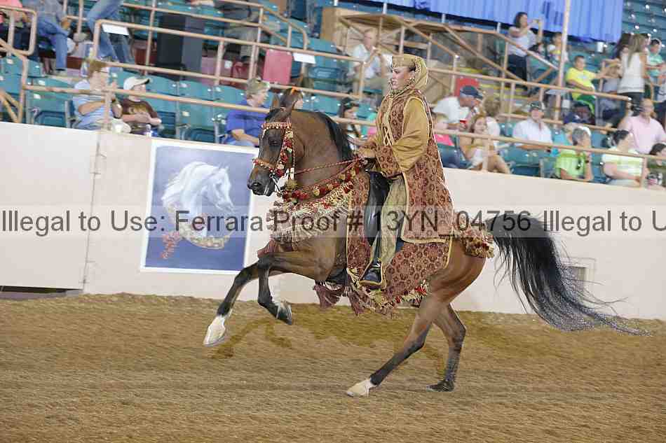 Proof 13yn_04756