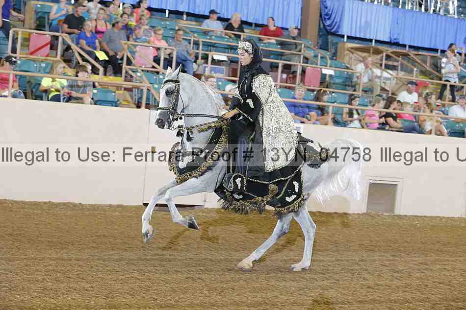 Proof 13yn_04758