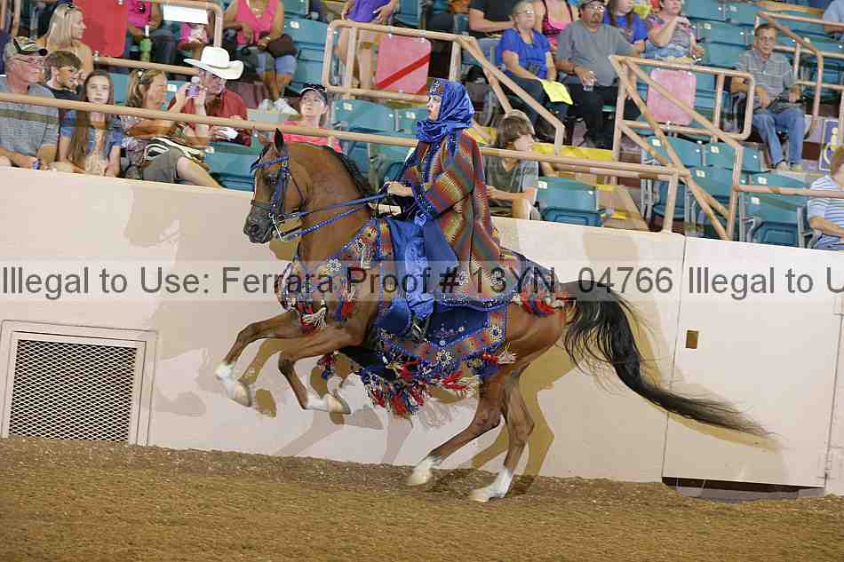 Proof 13yn_04766