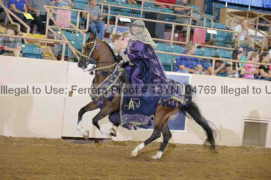 Proof 13yn_04769