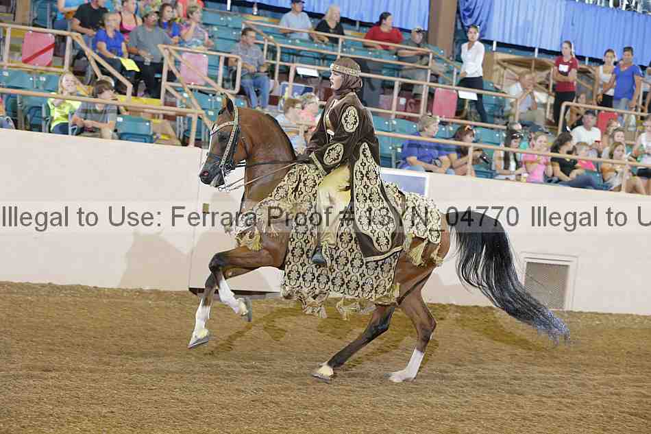 Proof 13yn_04770