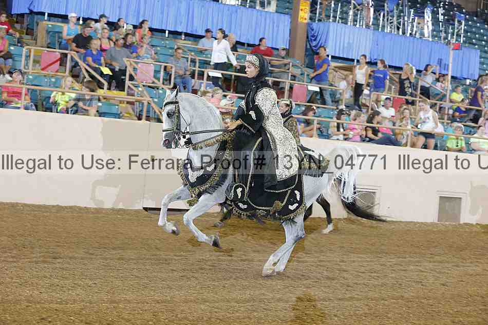 Proof 13yn_04771