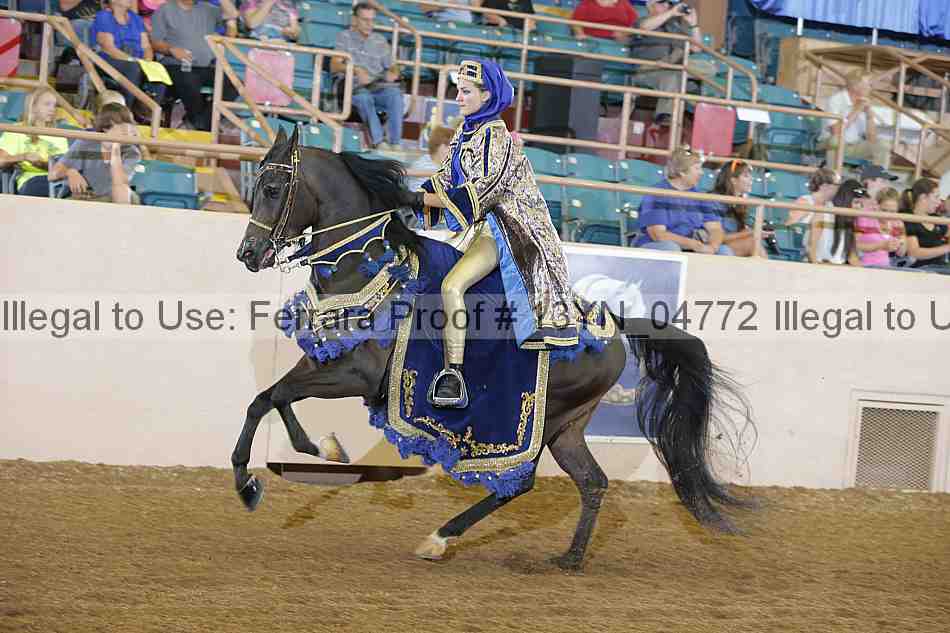Proof 13yn_04772