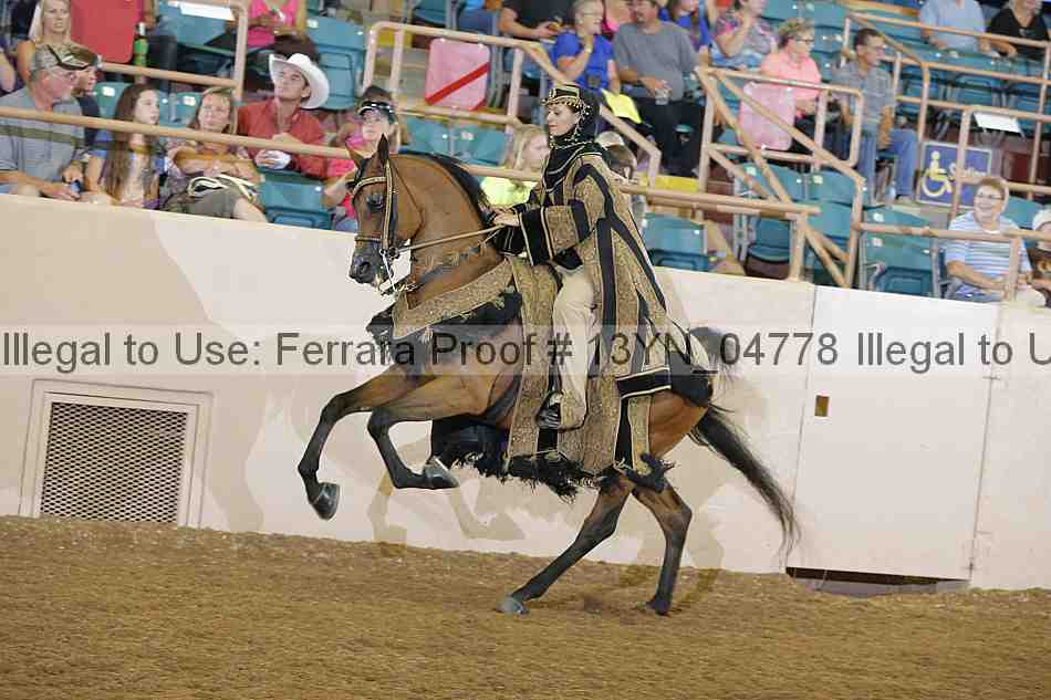 Proof 13yn_04778