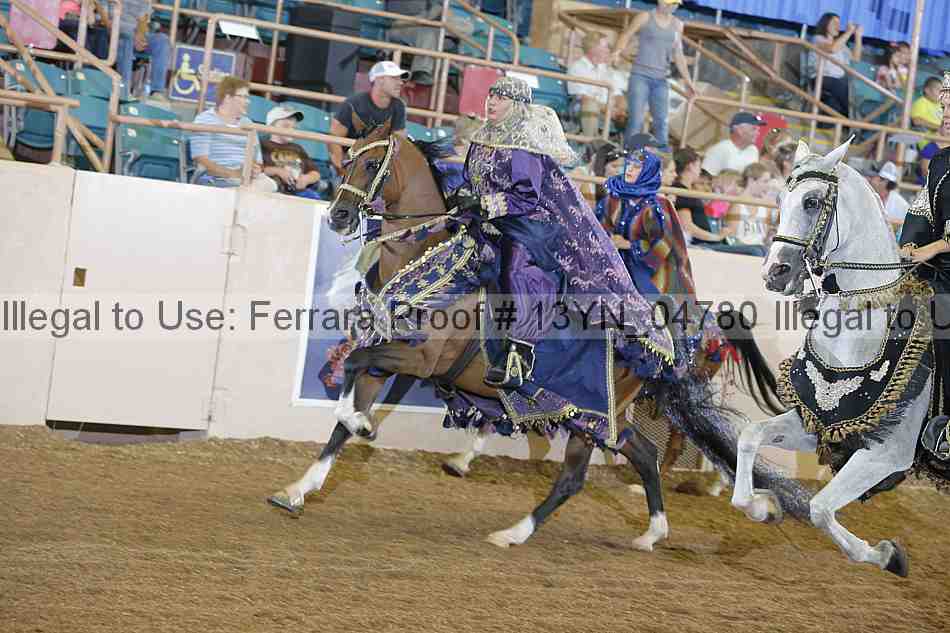 Proof 13yn_04780
