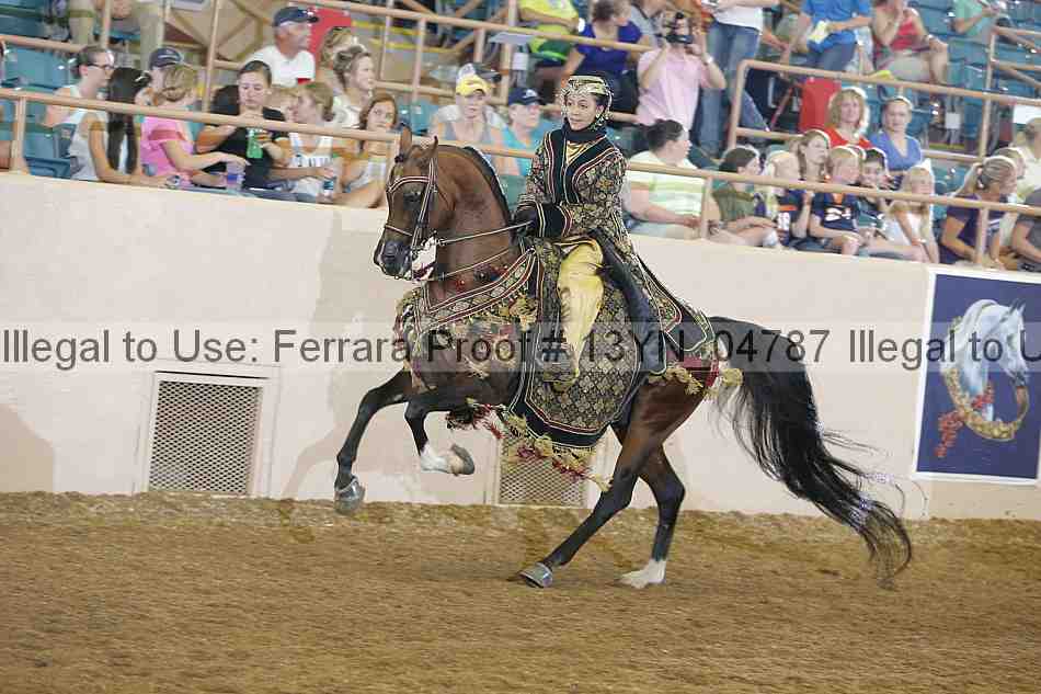 Proof 13yn_04787
