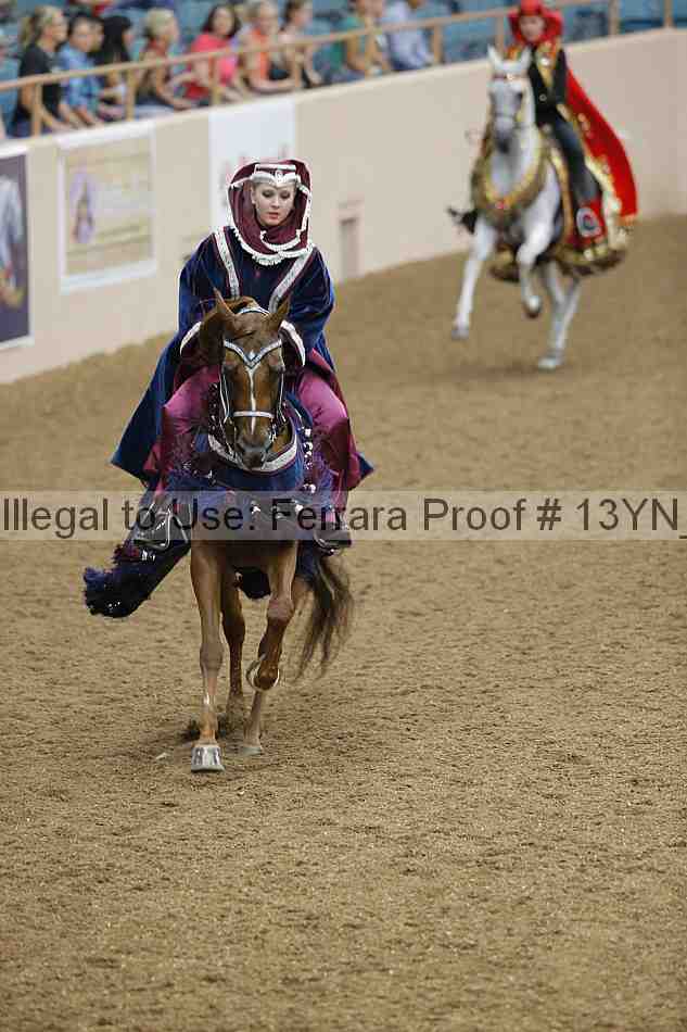 Proof 13yn_04788