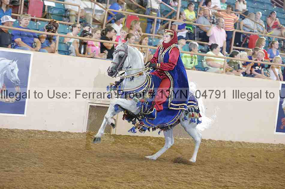 Proof 13yn_04791