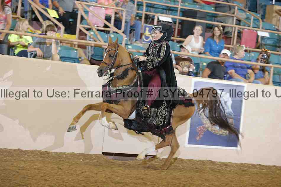 Proof 13yn_04797