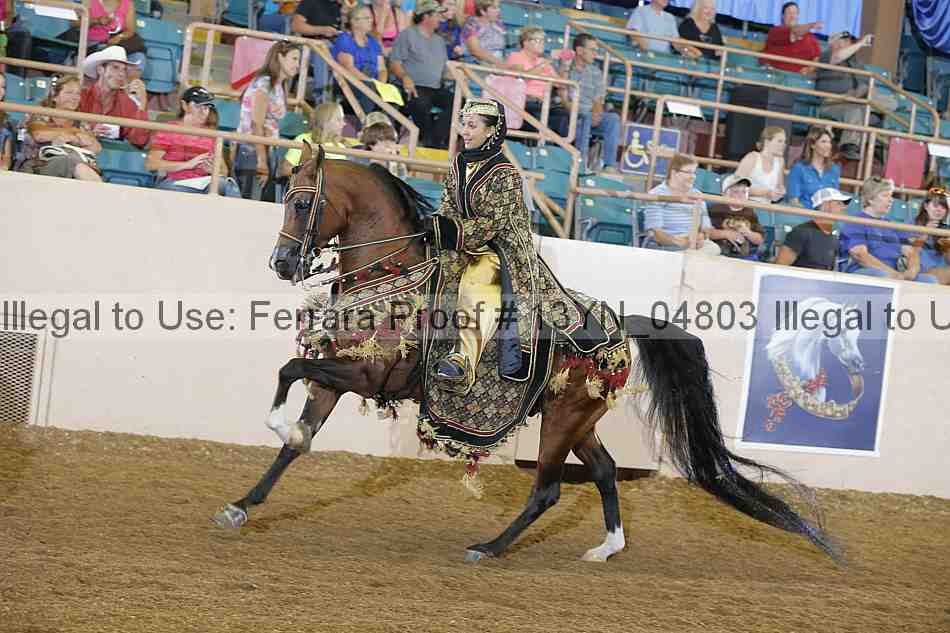 Proof 13yn_04803