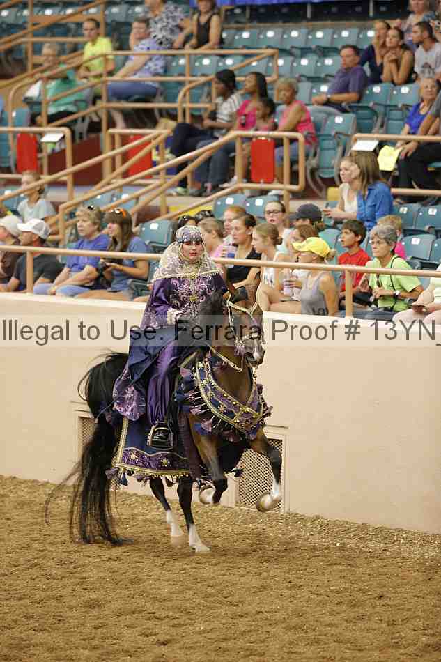 Proof 13yn_04805