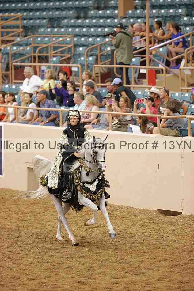 Proof 13yn_04806