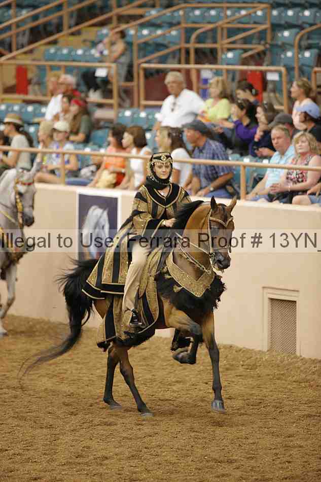 Proof 13yn_04807