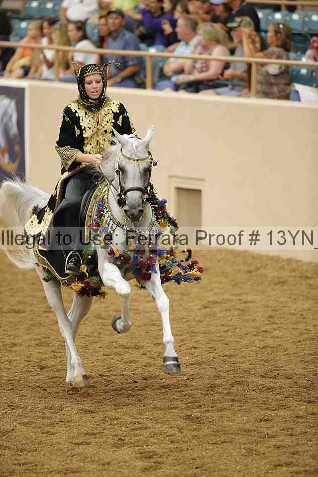 Proof 13yn_04808