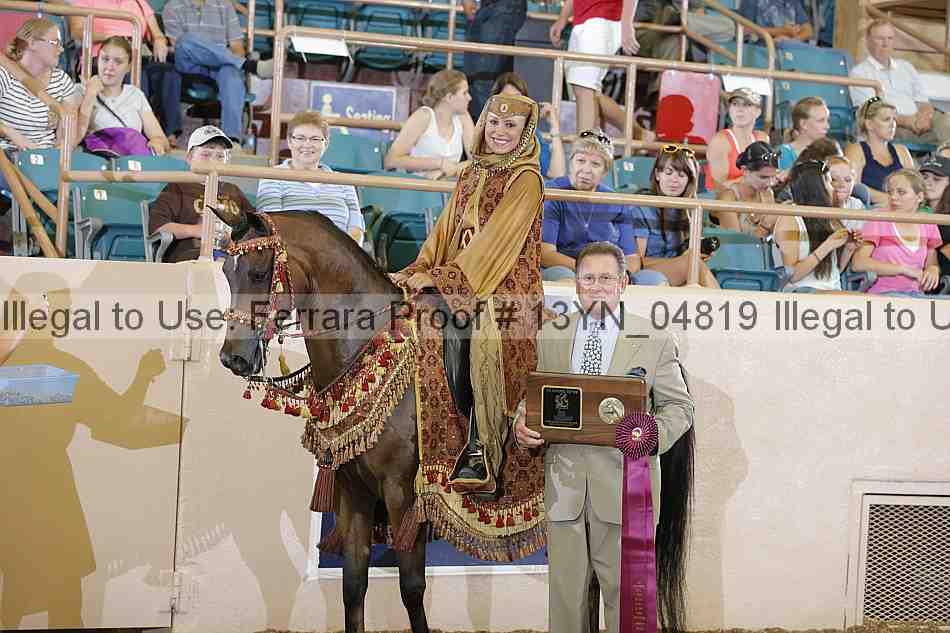 Proof 13yn_04819