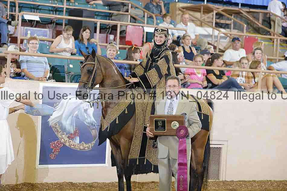 Proof 13yn_04824