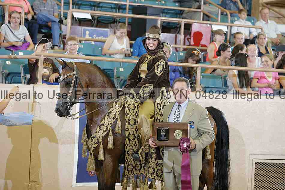 Proof 13yn_04828