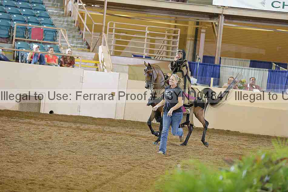 Proof 13yn_04847