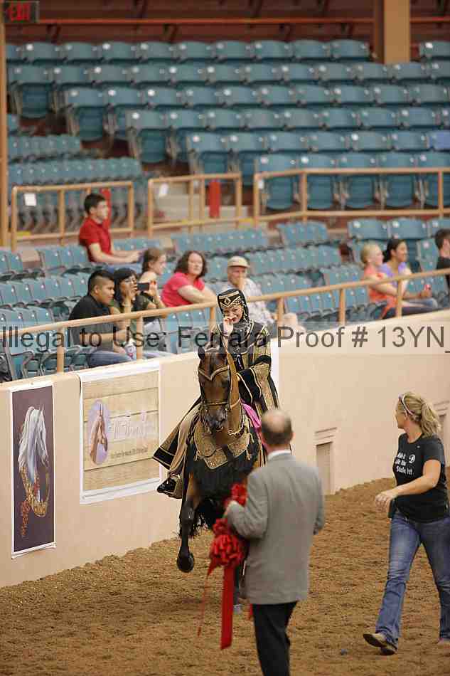 Proof 13yn_04851
