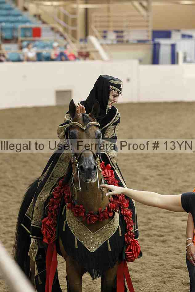 Proof 13yn_04876