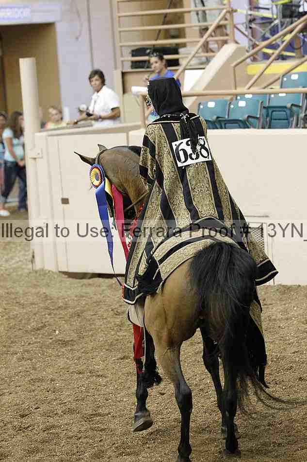 Proof 13yn_04895