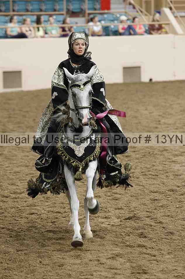 Proof 13yn_04896