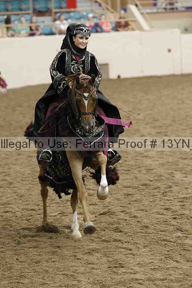 Proof 13yn_04900