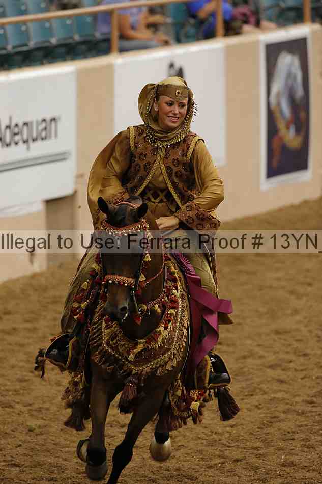 Proof 13yn_04906