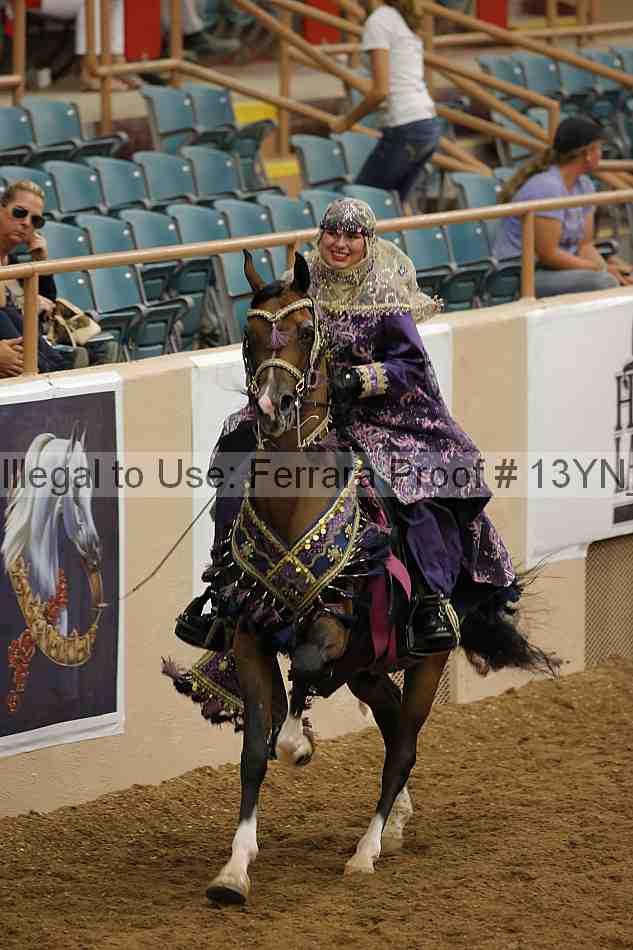 Proof 13yn_04908