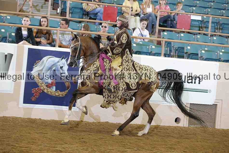Proof 13yn_04909