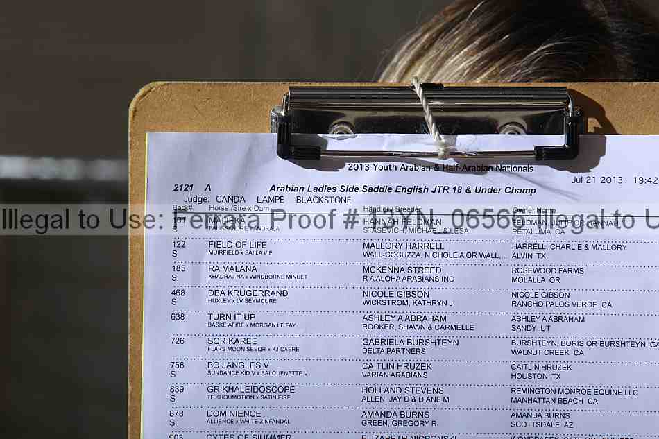 Proof 13yn_06566
