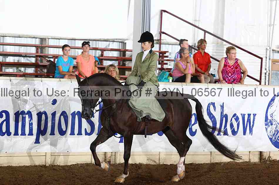 Proof 13yn_06567