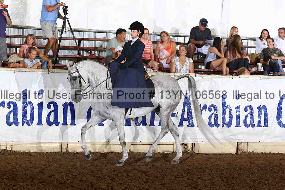 Proof 13yn_06568
