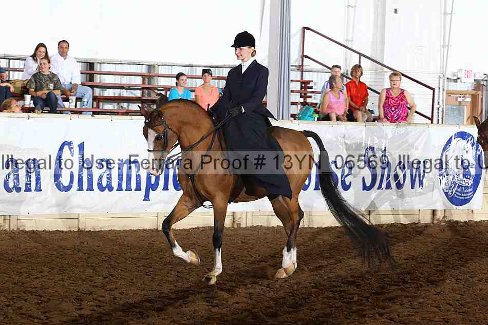 Proof 13yn_06569