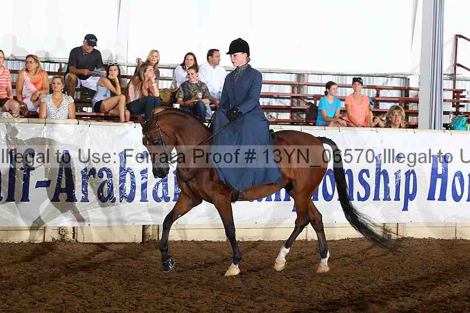 Proof 13yn_06570