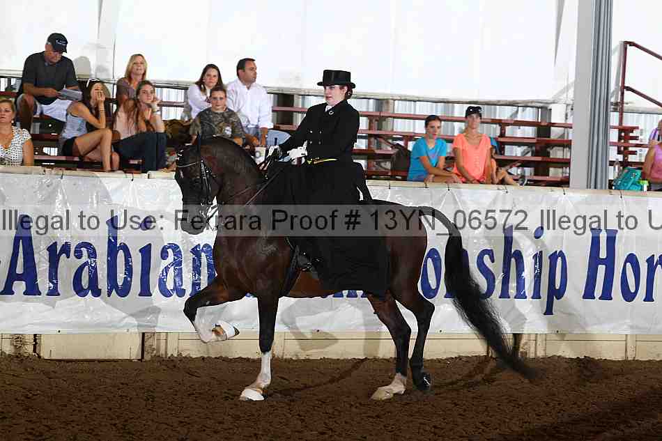 Proof 13yn_06572
