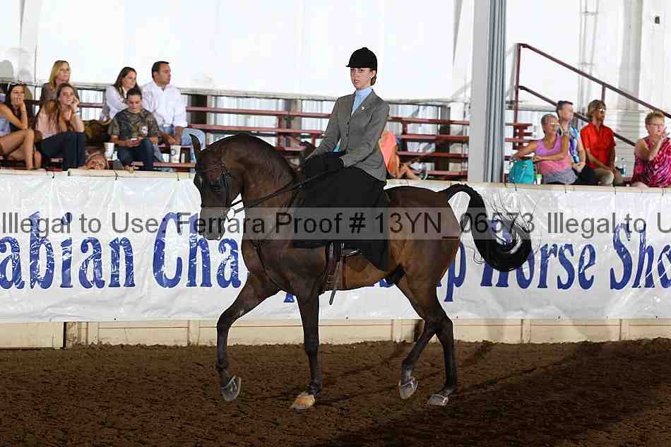 Proof 13yn_06573