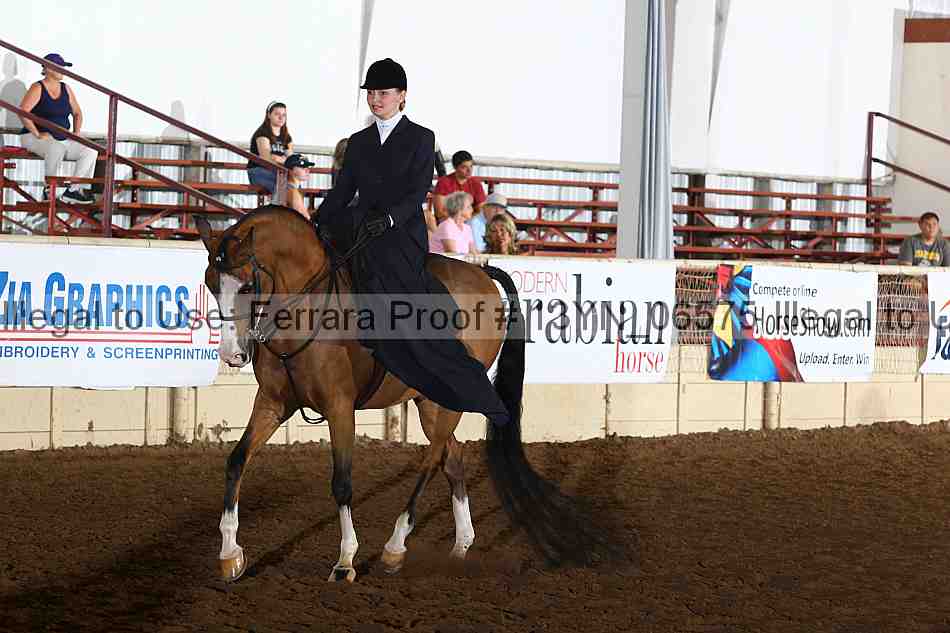 Proof 13yn_06575
