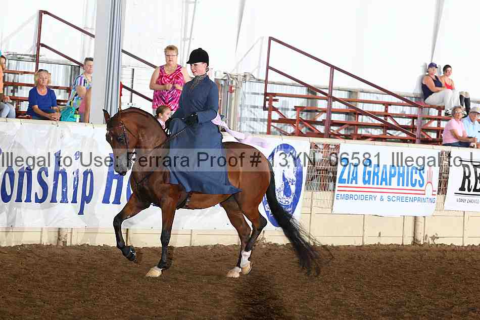 Proof 13yn_06581