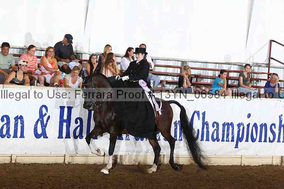 Proof 13yn_06584