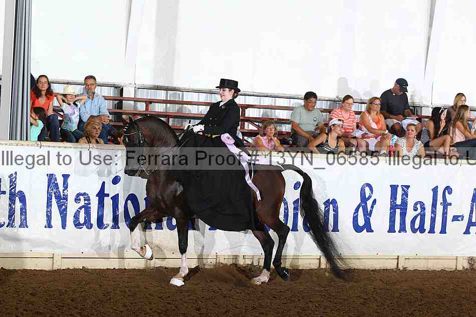 Proof 13yn_06585