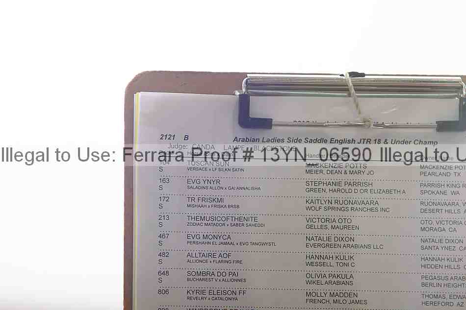 Proof 13yn_06590