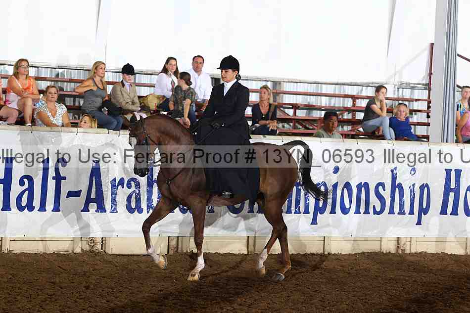 Proof 13yn_06593