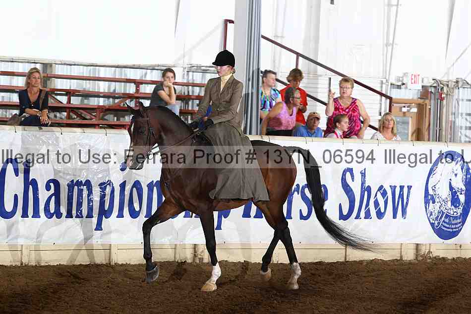 Proof 13yn_06594